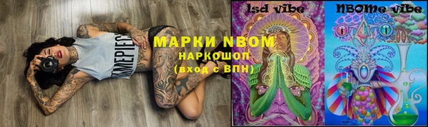 PSILOCYBIN Бронницы